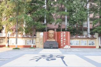 图片1
